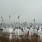 Eis auf dem Bodensee