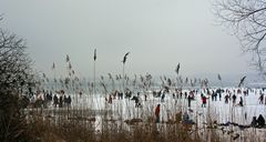 Eis auf dem Bodensee