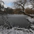 Eis auf dem Portikusteich