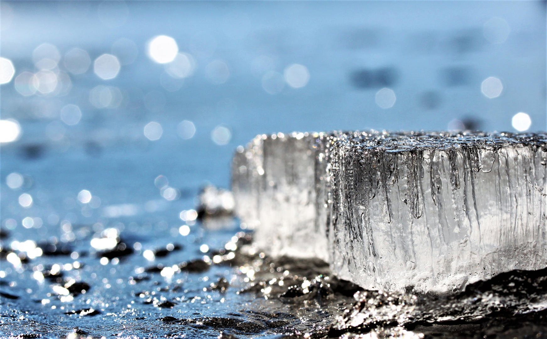 Eis auf dem Rotsee