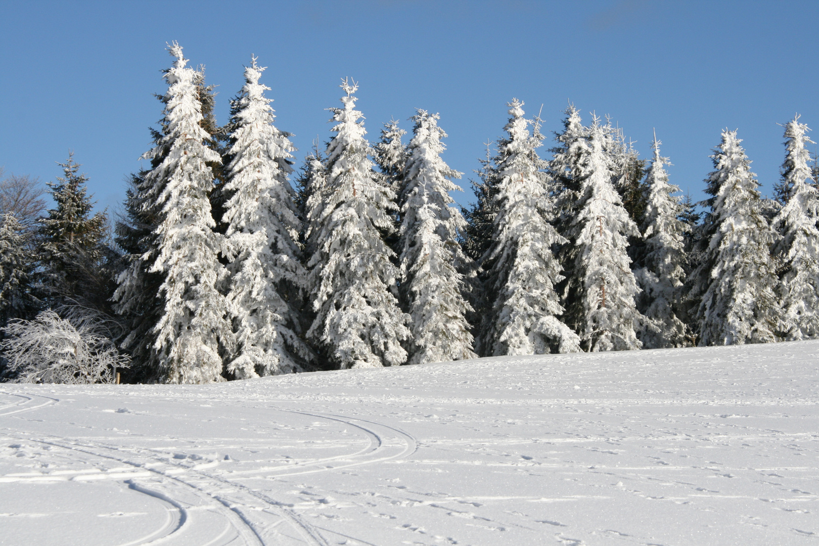 Eis auf dem Schauinsland 1