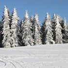 Eis auf dem Schauinsland 1