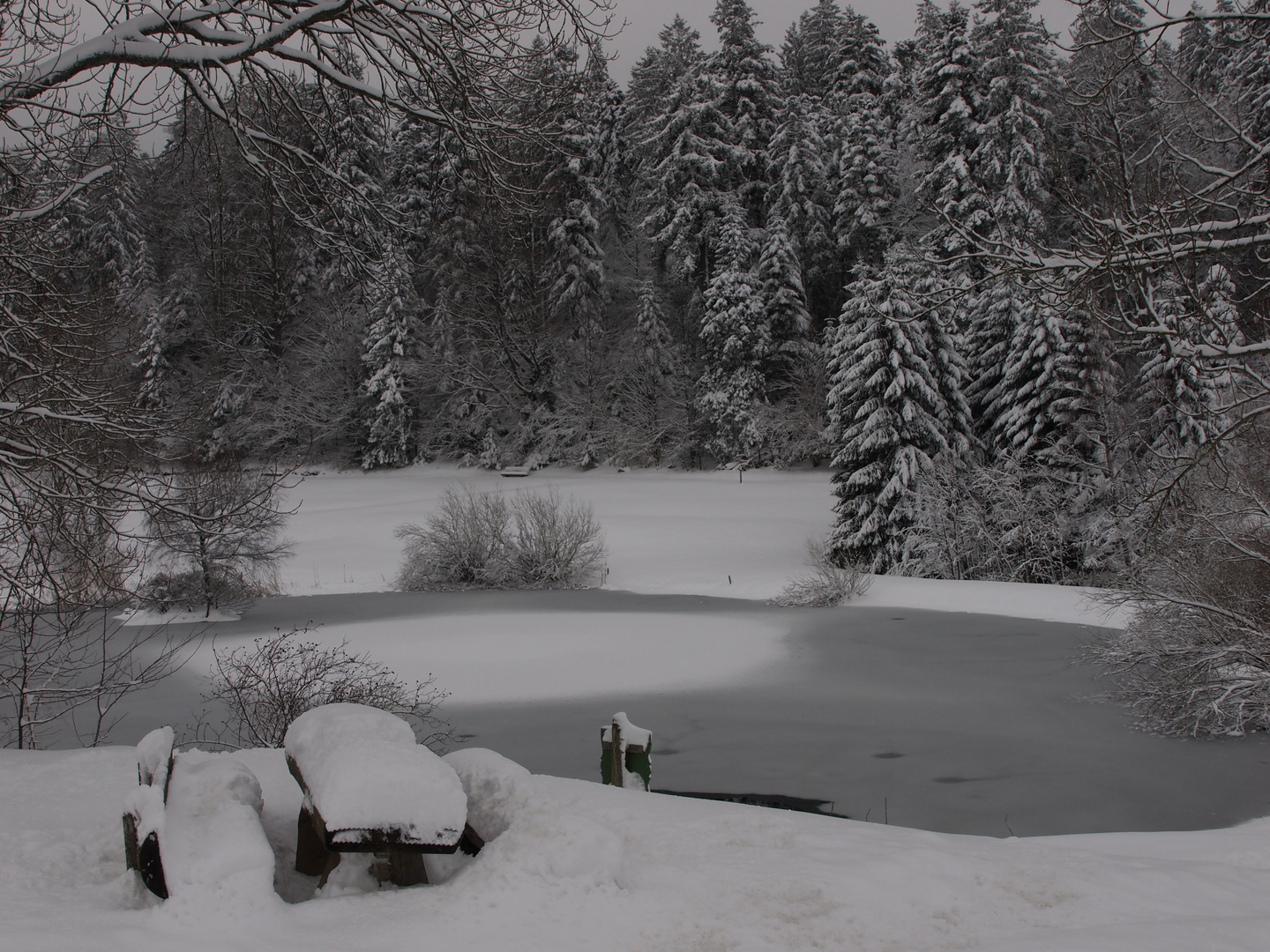 Eis auf dem Weiher