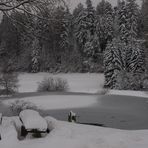 Eis auf dem Weiher