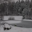 Eis auf dem Weiher