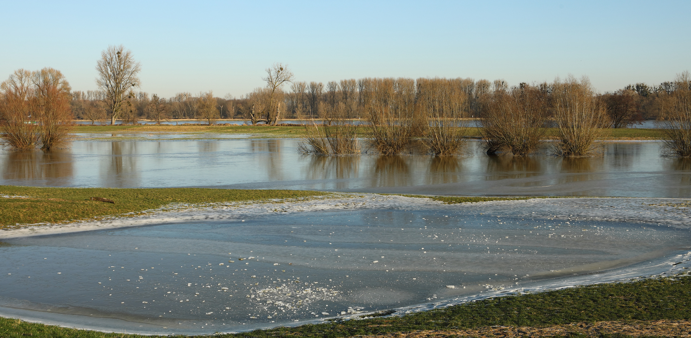 Eis auf den Rheinwiesen