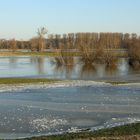 Eis auf den Rheinwiesen