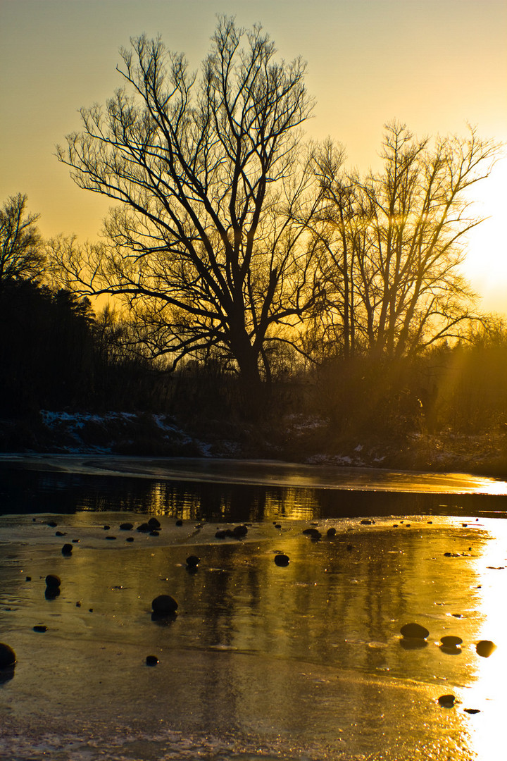 Eis auf der Aare