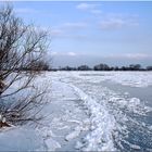 Eis auf der Elbe