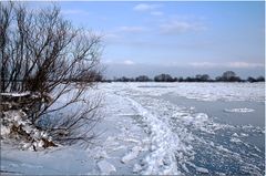 Eis auf der Elbe