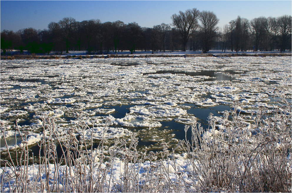 Eis auf der Elbe