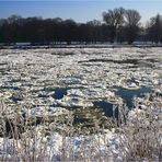 Eis auf der Elbe