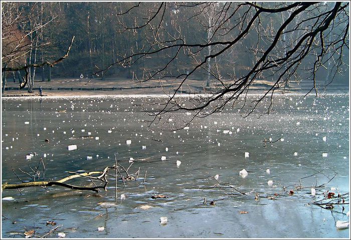 Eis auf der Krummen Lanke