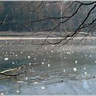 Eis auf der Krummen Lanke