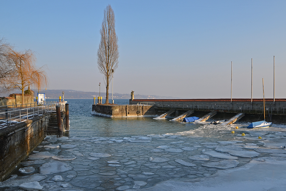 Eis auf der Mainau, Mainau im Februar