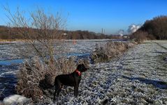 Eis auf der Weser 1