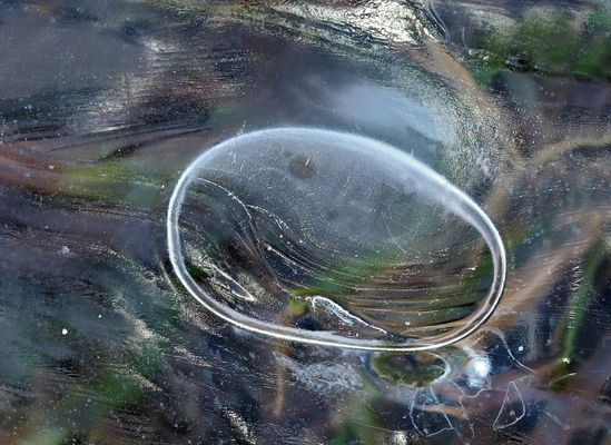  Eis auf einer überschwemmten Wiese. - De l'art que l'on foule au pieds...