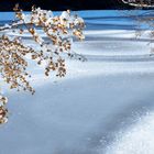 Eis auf Hagerwaldsee