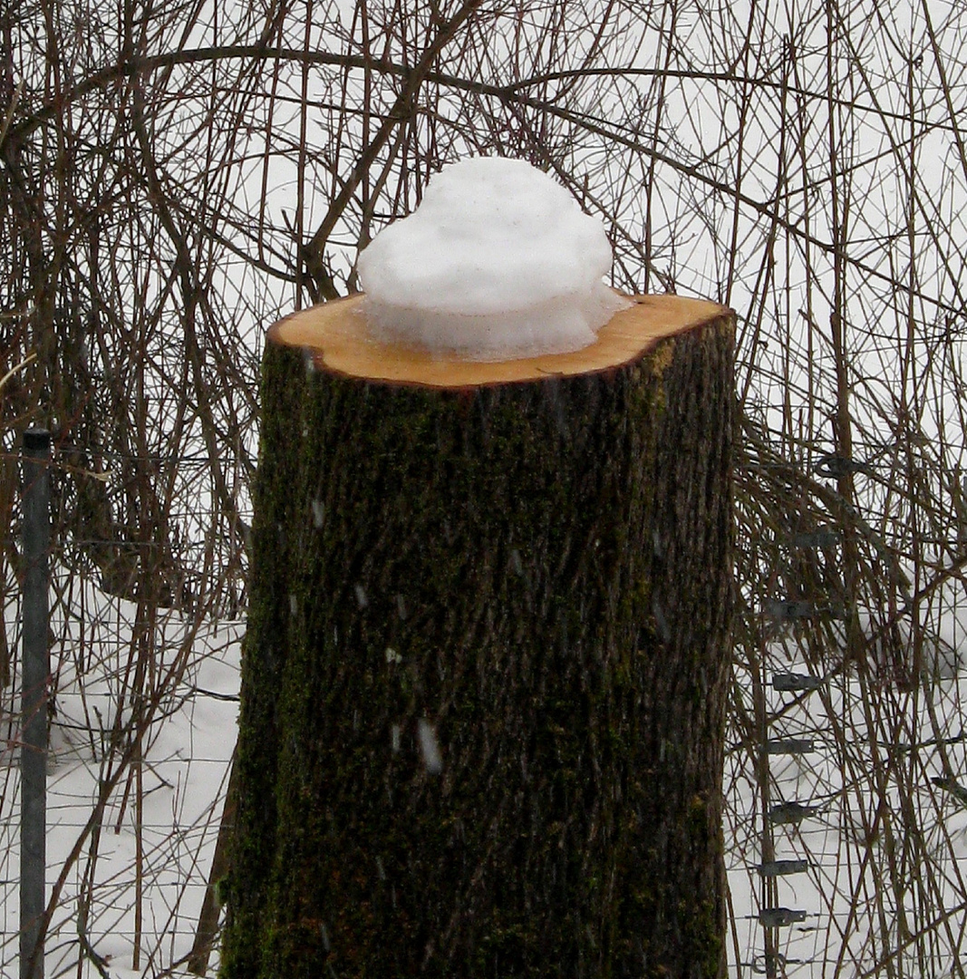 Eis auf Stiel