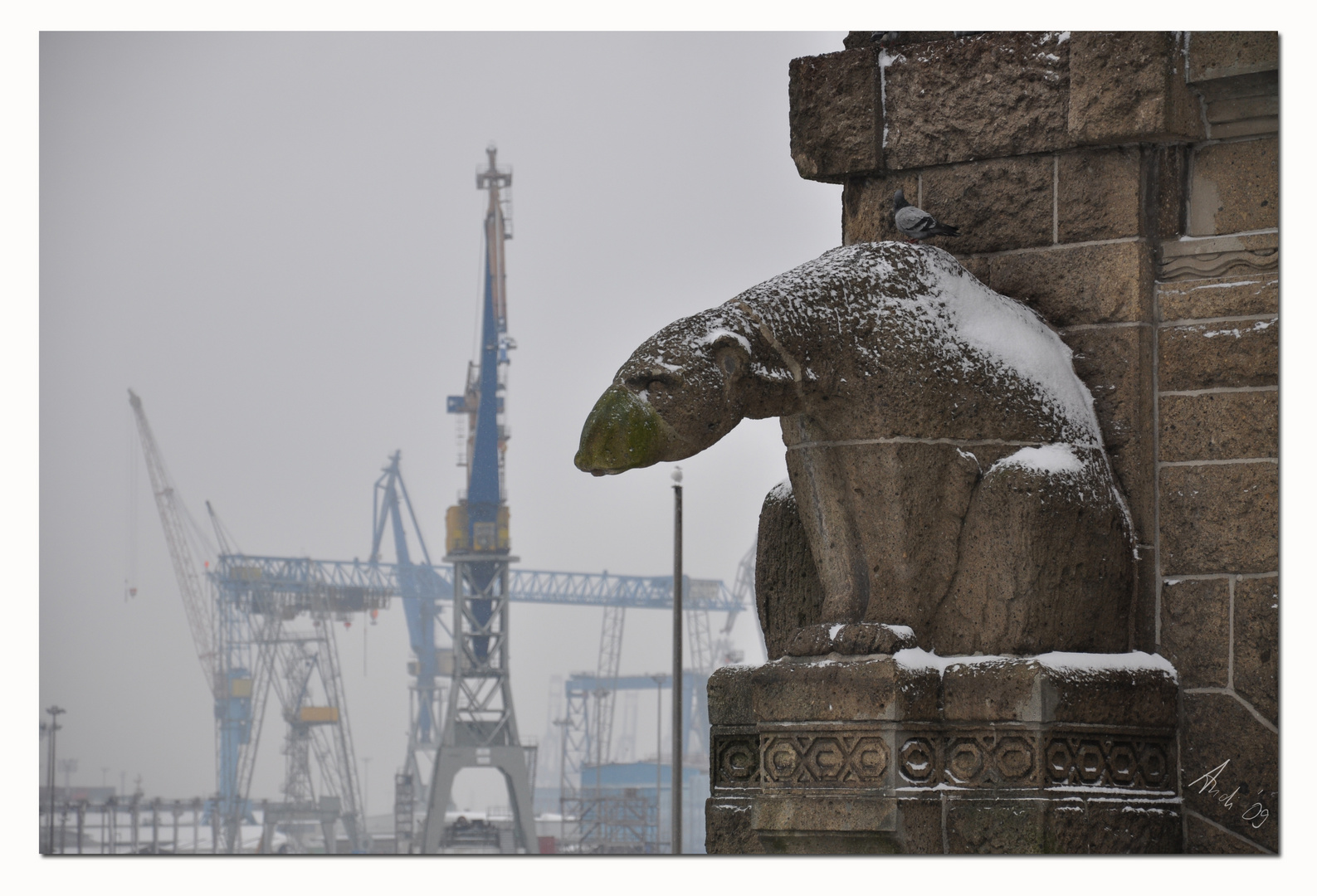 "Eis"-Bär am Hafen...