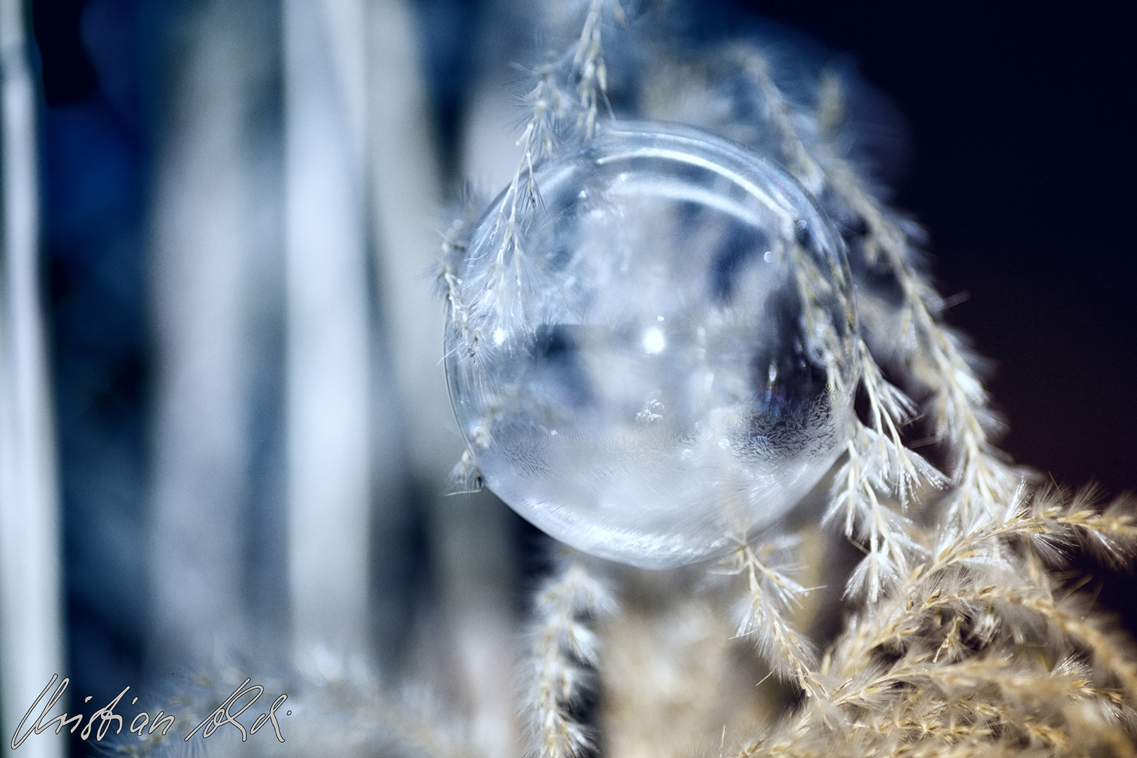 Eis-Bubble 2