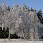 eis / einstimmung auf die kommende jahreszeit