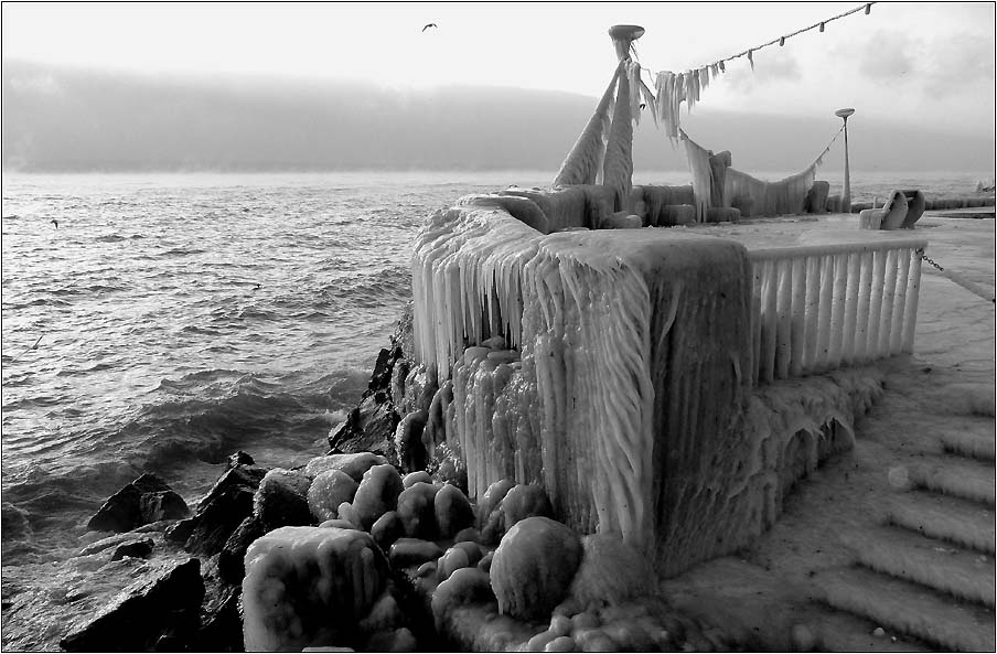 Eis Eis Eis - Uferpromenade Nyon, Genfer See, Anfang Februar bei -19°C