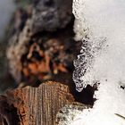Eis - es wird mit seiner Feuchtikeit am Ende ihres jetzigenzustandes das Holz noch weiter zerstören