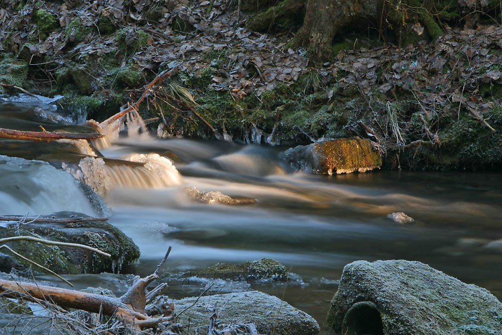 Eis & Frost im Perlbachtal