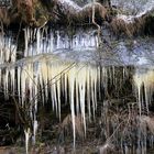 Eis im Bielatal in der Sächsischen Schweiz...wobei es dieses Jahr...