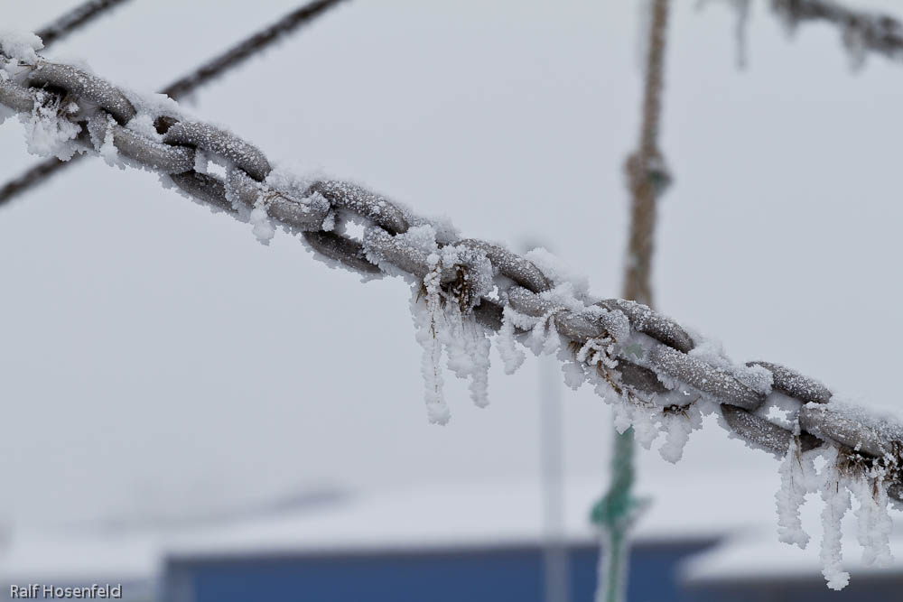 Eis im Hafen