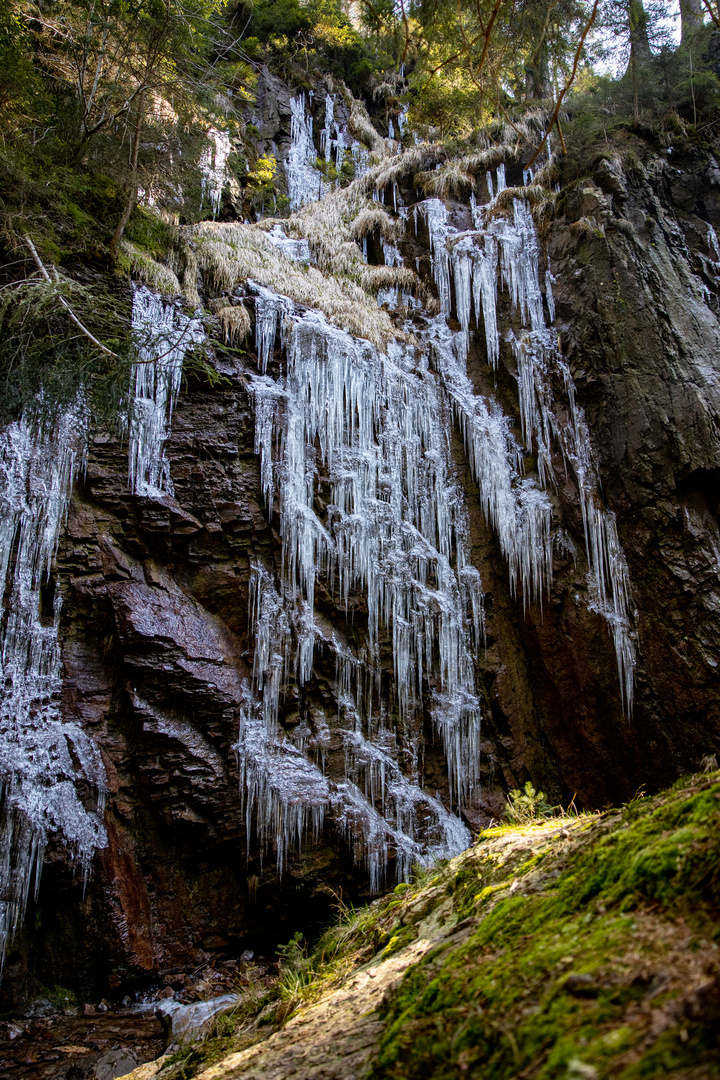 Eis im März - Coronabildstrecke 006