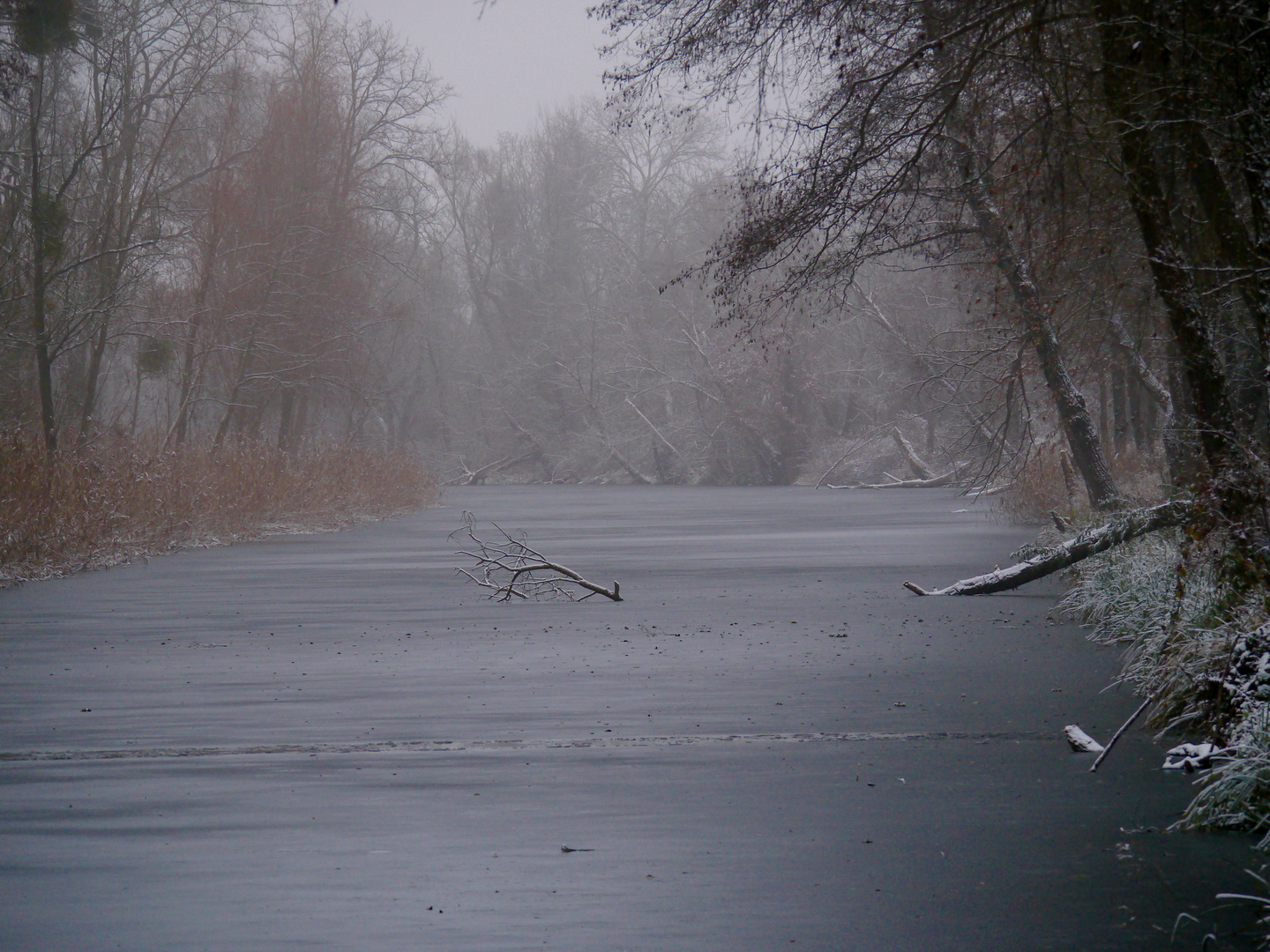 Eis im Nebel...