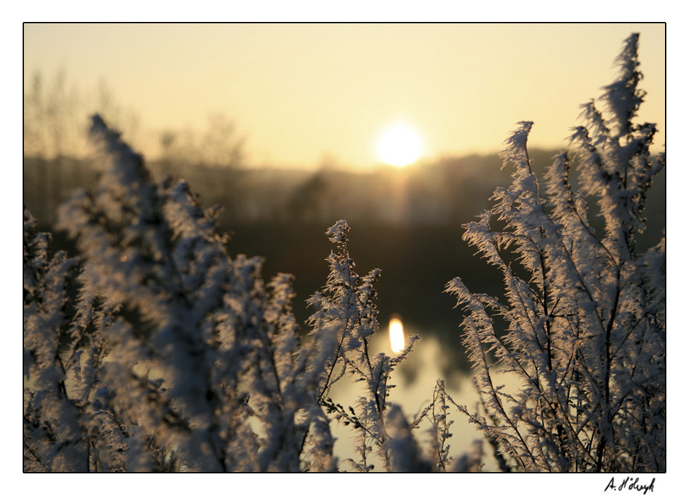 Eis im Sonnenuntergang