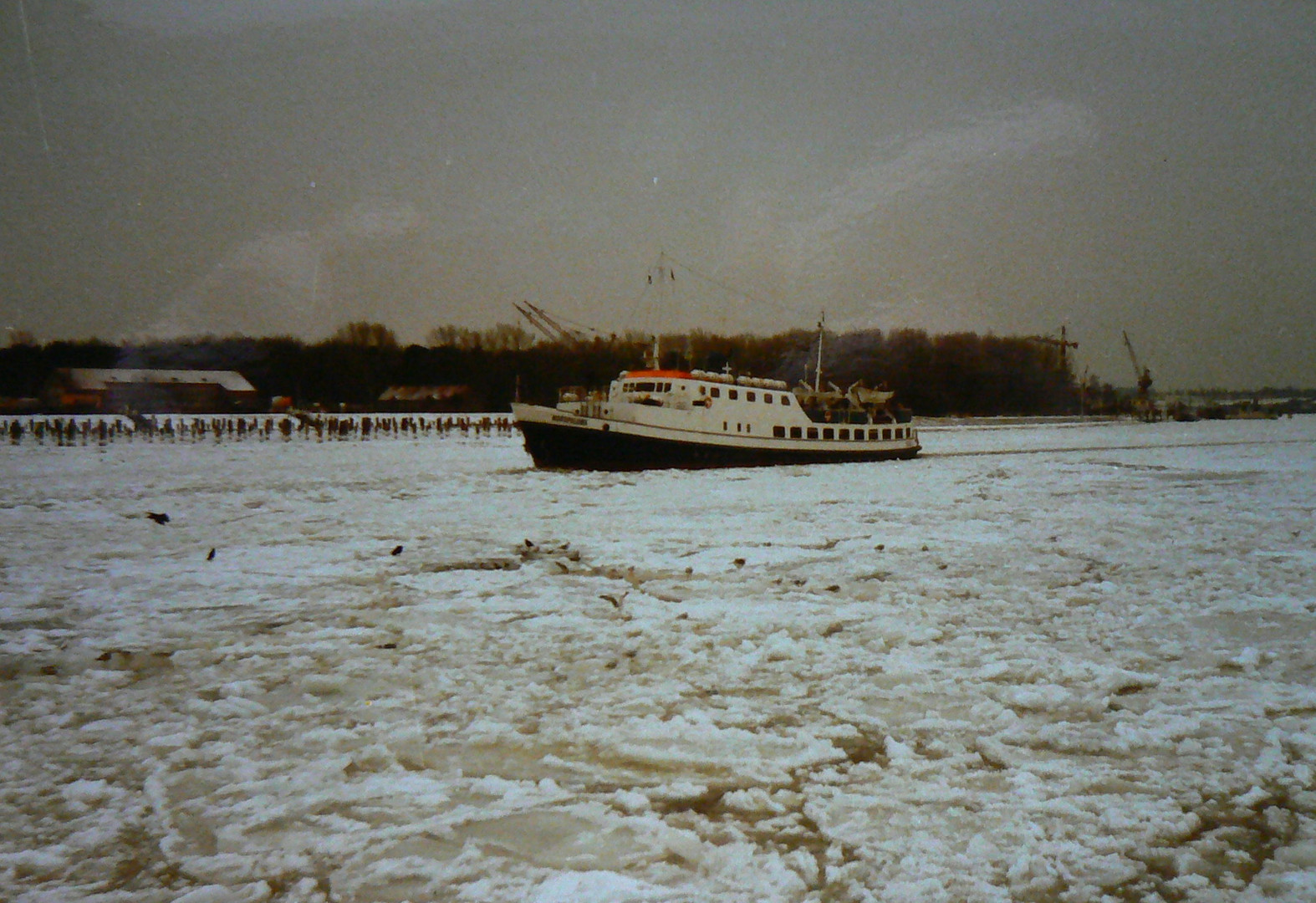 Eis in Travemünde