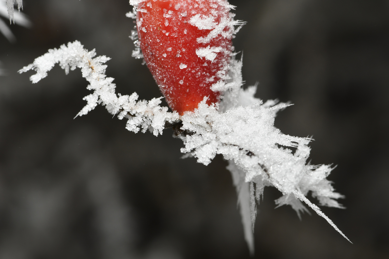 Eis - Kalt    -    Rot