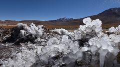 Eis morgens bei den El Tatio Geysiren