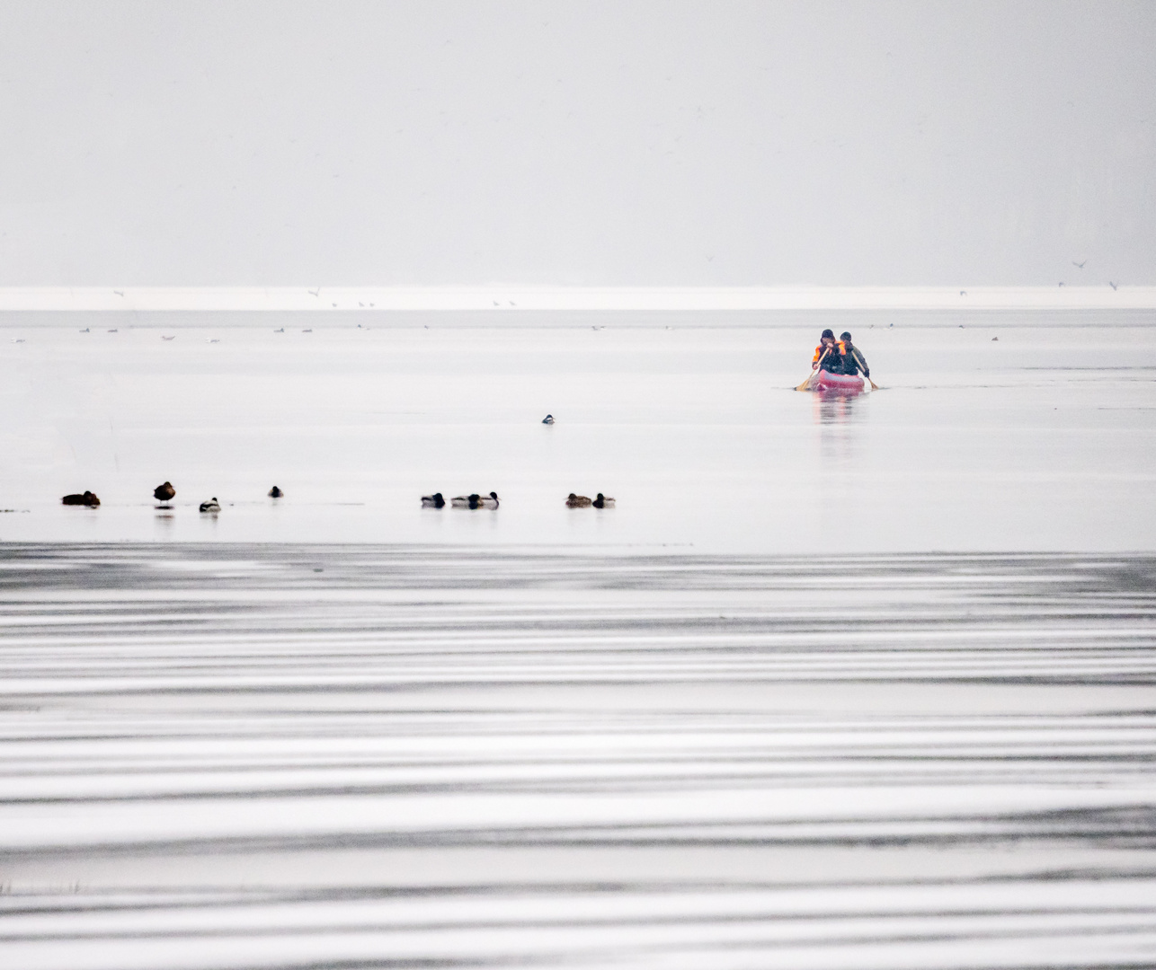 Eis, Schnee, Wasser, Nebel, in der Ferne der Horizont