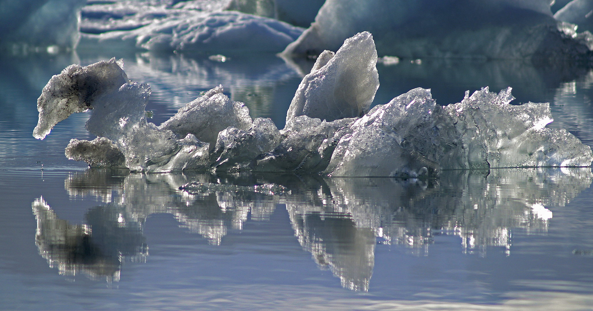 eis schwan auf Island