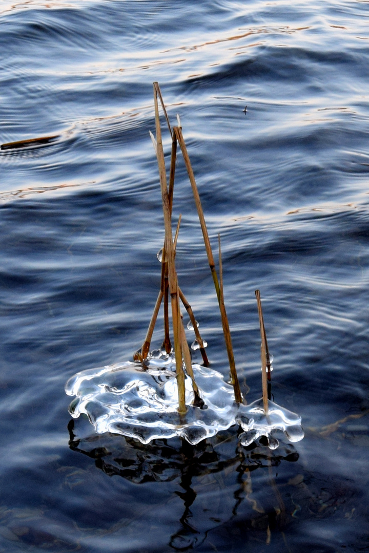 Eis-Skulptur am Sacrower See