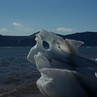 Eis-Skulptur am Strand von Siorapaluk