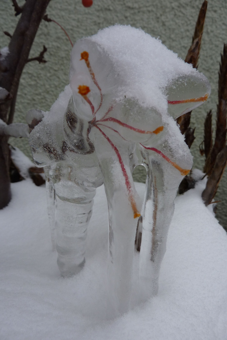 Eis-Skulptur (an einer Pflanze gewachsen)