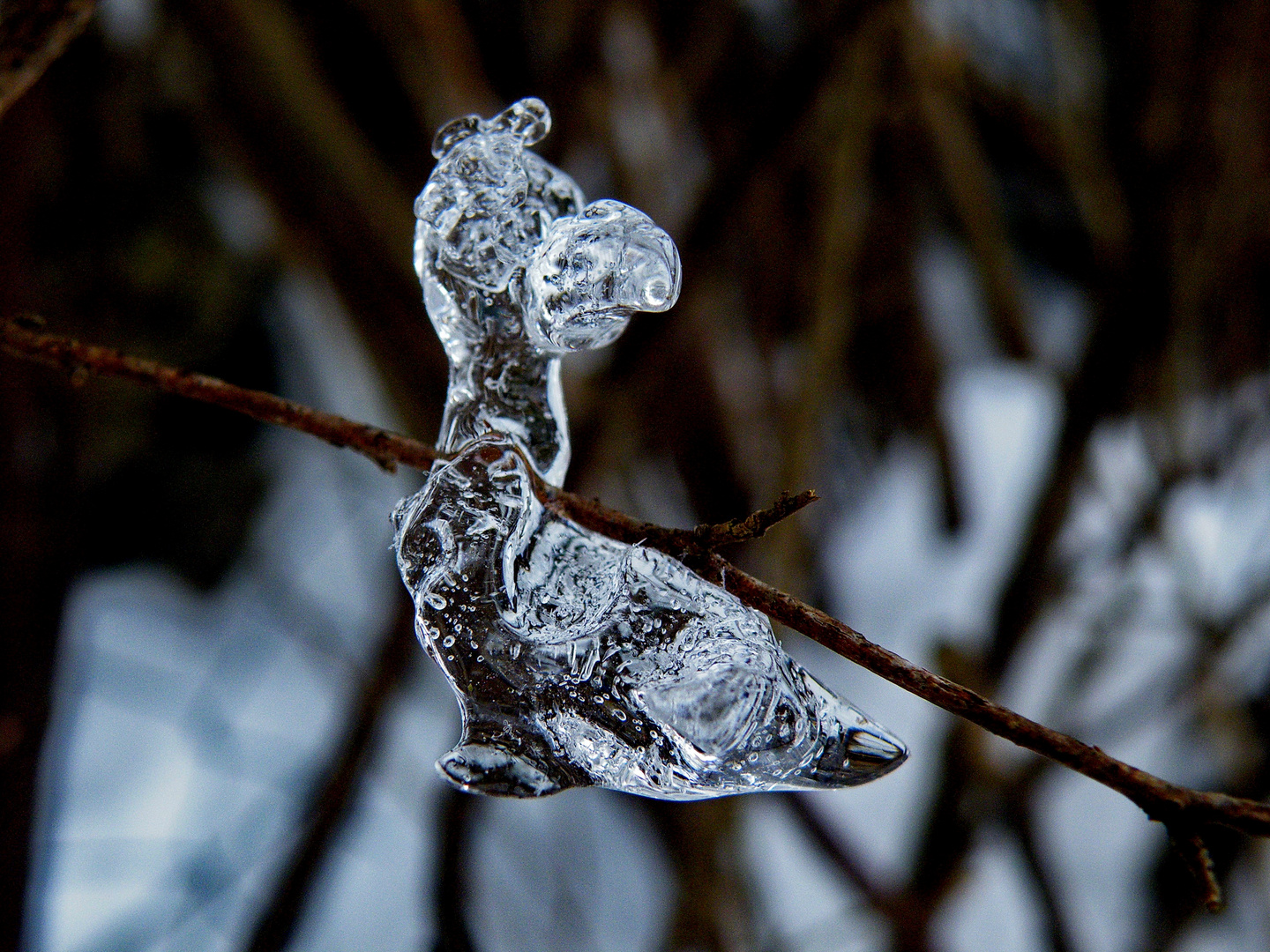 Eis-Skulptur die Dritte