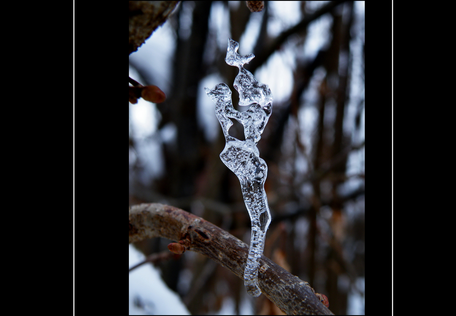 Eis-Skulptur die Zweite