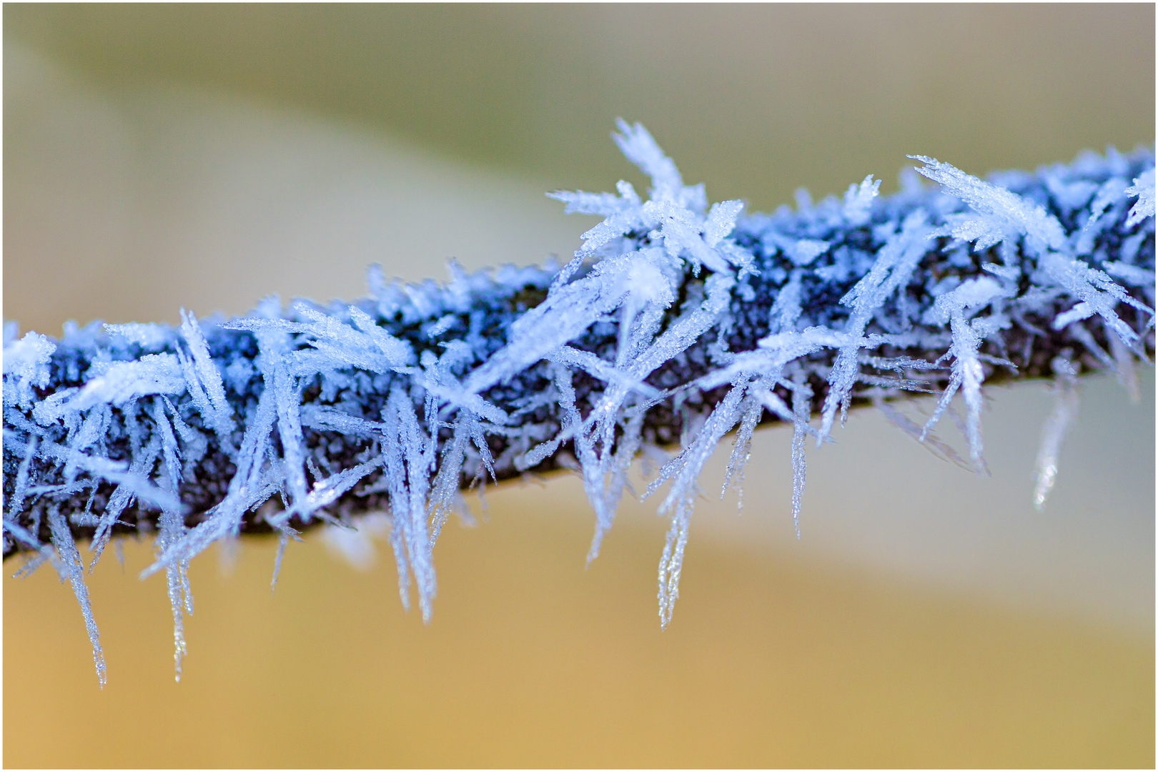 Eis-Stacheln