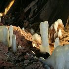 eis-stalagmiten