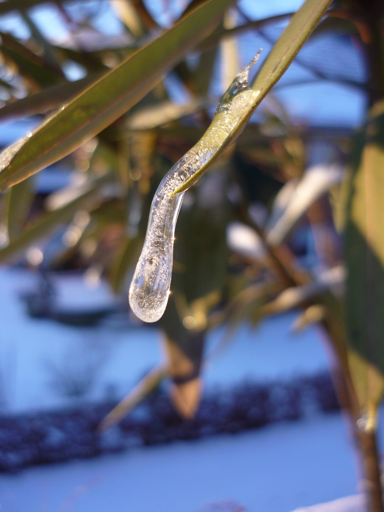 Eis-Stillstand