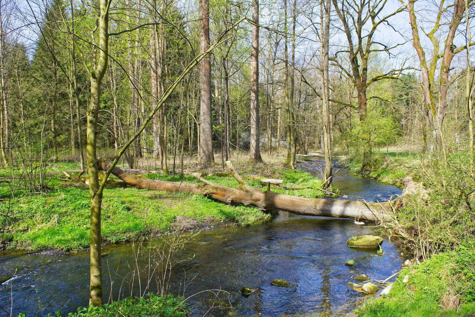 Eis Stück Thüringer Wald im April