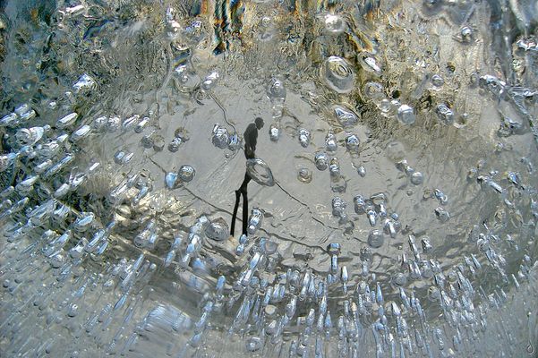 Eis • Taucher  ...©In011OC