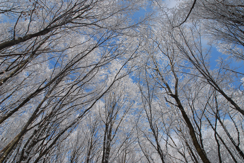 Eis und blauer Himmel